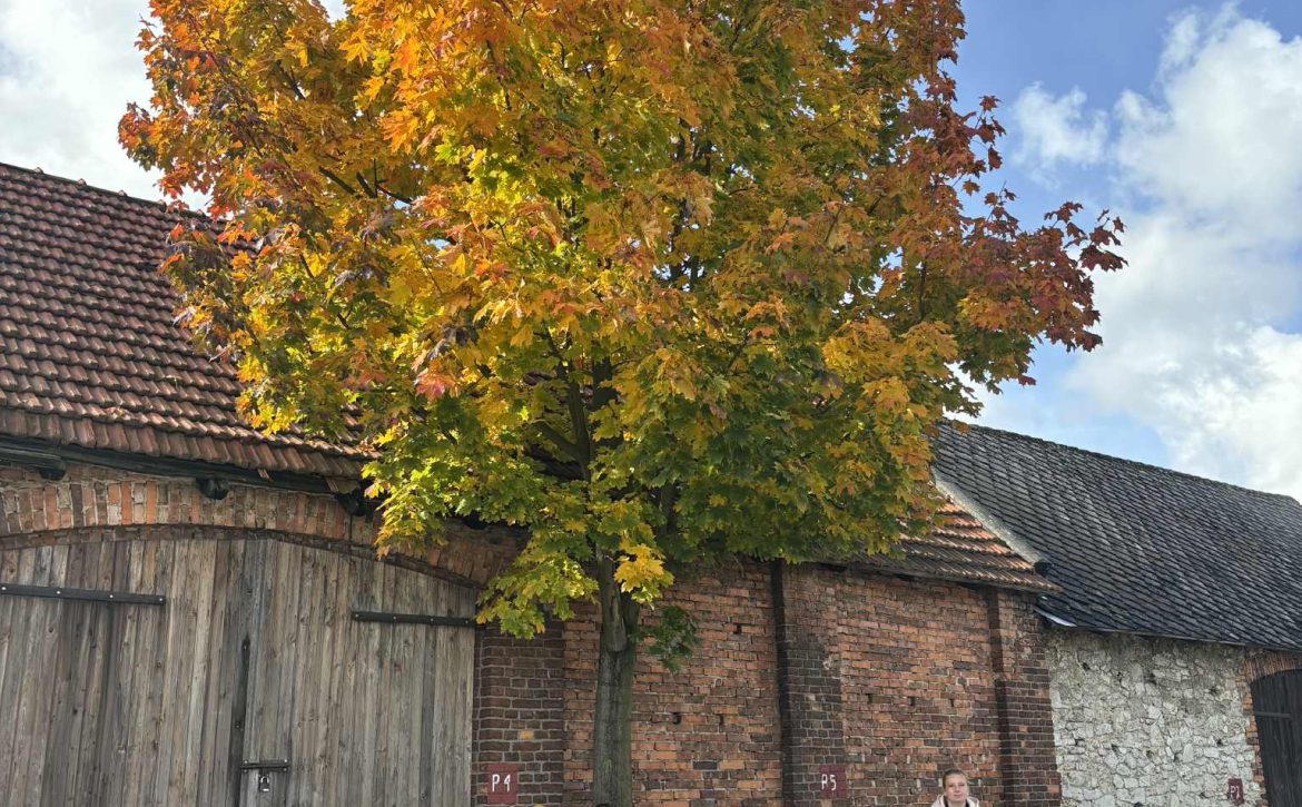 b2d0fd1a-aaa1-4609-b3e5-3ee50b64a6eb