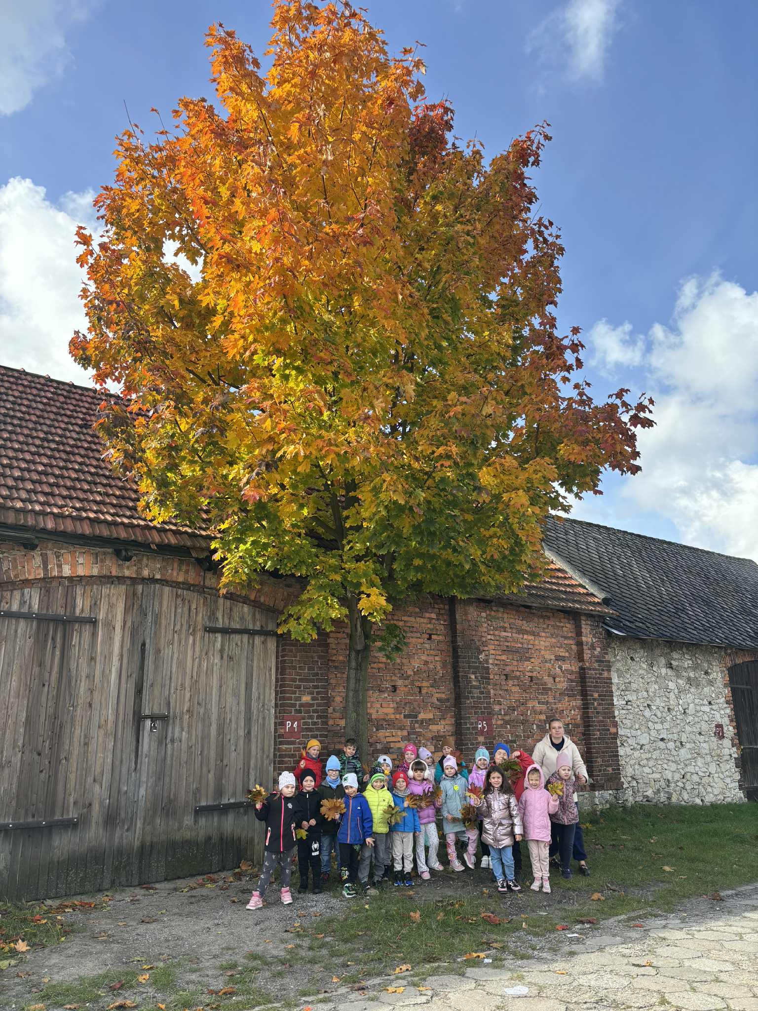 b2d0fd1a-aaa1-4609-b3e5-3ee50b64a6eb