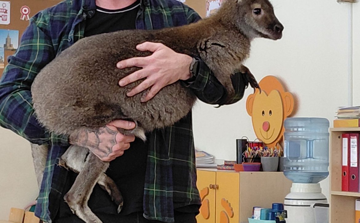 WALABIA-żywa edukacja, warsztaty